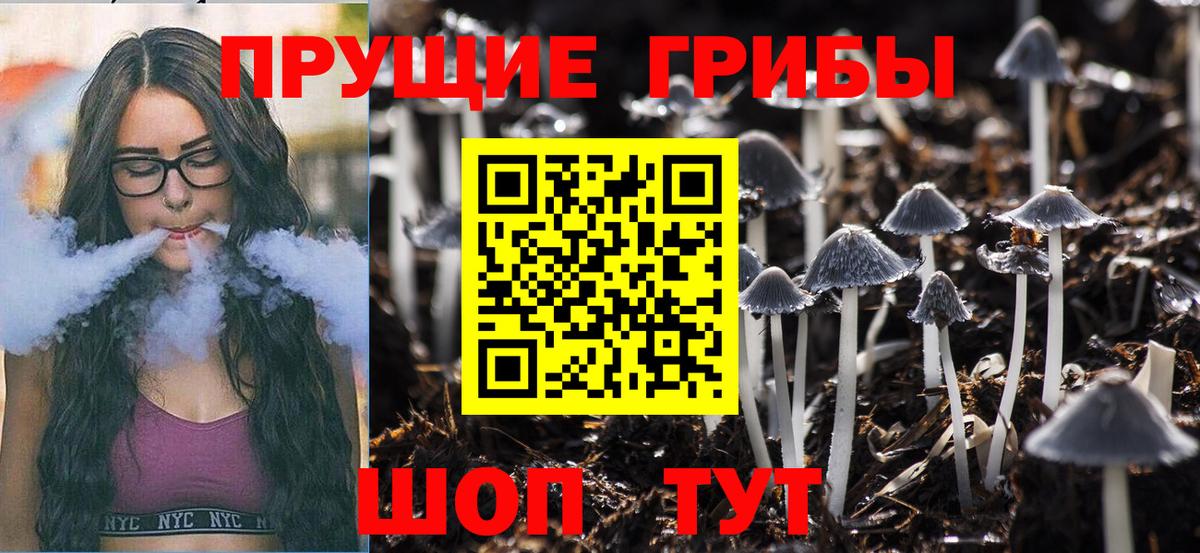 Галлюциногенные грибы Magic Shrooms  Вход с VPN  Конаково  Псилоцибиновые грибы MAGIC MUSHROOMS 